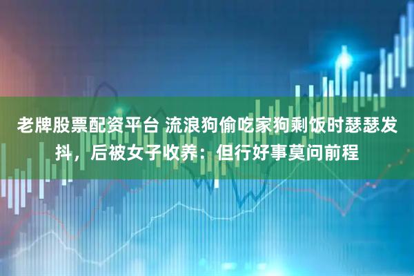 老牌股票配资平台 流浪狗偷吃家狗剩饭时瑟瑟发抖，后被女子收养：但行好事莫问前程