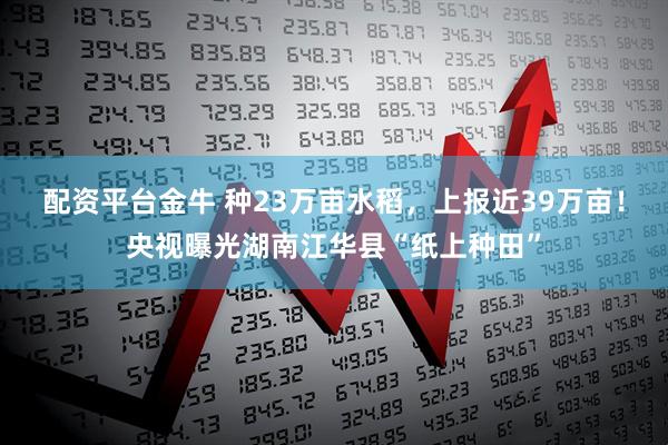 配资平台金牛 种23万亩水稻，上报近39万亩！央视曝光湖南江华县“纸上种田”